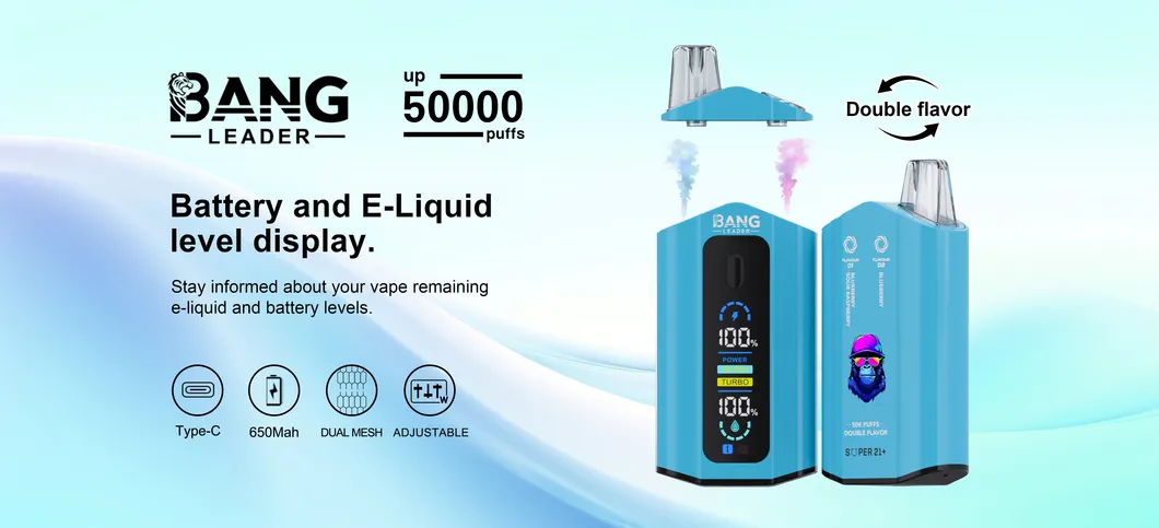bang leader puffs disposable dual flavors mouthpiece exchan