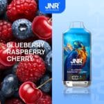 JNRjnr falcon X 18000 puff disposable vapeblueberry raspberry cherry