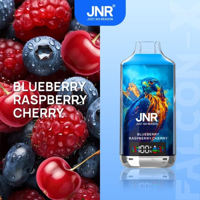 JNRjnr falcon X 18000 puff disposable vapeblueberry raspberry cherry