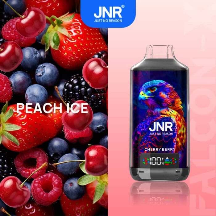 JNRjnr falcon X 18000 puff disposable vapecherry berry