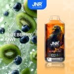 JNRjnr falcon X 18000 puff disposable vapeblueberry kiwi