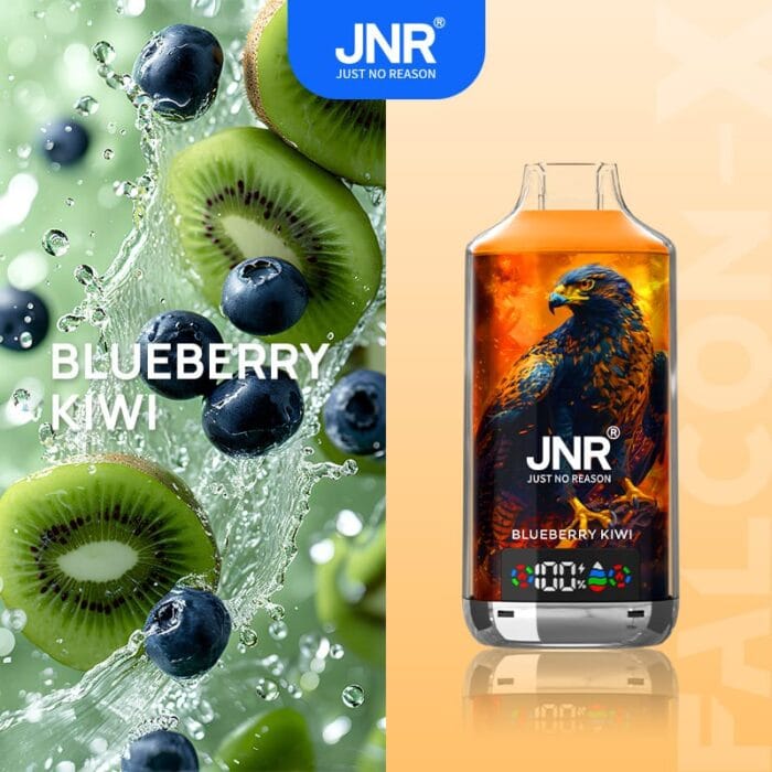 JNRjnr falcon X 18000 puff disposable vapeblueberry kiwi
