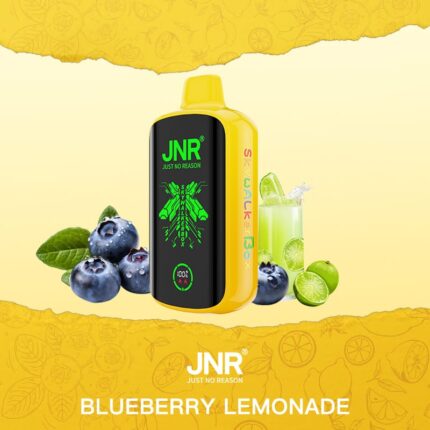 JNRJNR SKYWALKER BOX 30000 Puff Disposable Vapeblueberry lemonade