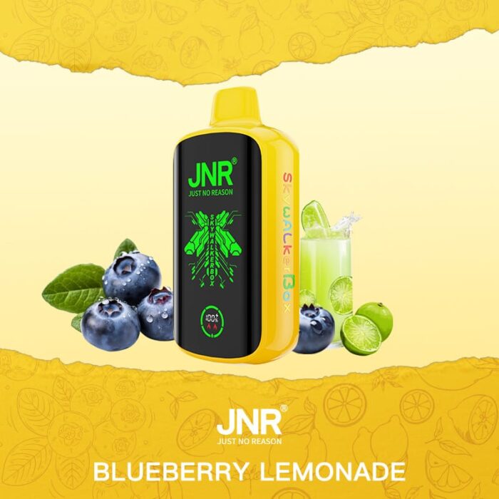 JNRJNR SKYWALKER BOX 30000 Puff Disposable Vapeblueberry lemonade