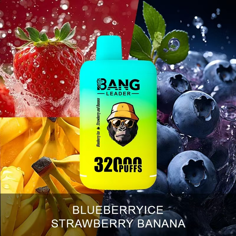 Bang Leader 32000 Puffs Double Flavor: Complete Review & Guidebang king puffs double pod double mesh doub
