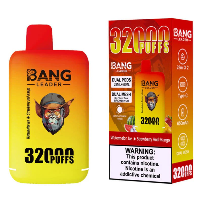 Bang Leader 32000 Puffs Double Flavor: Complete Review & Guidebang king puffs double pod double mesh doub