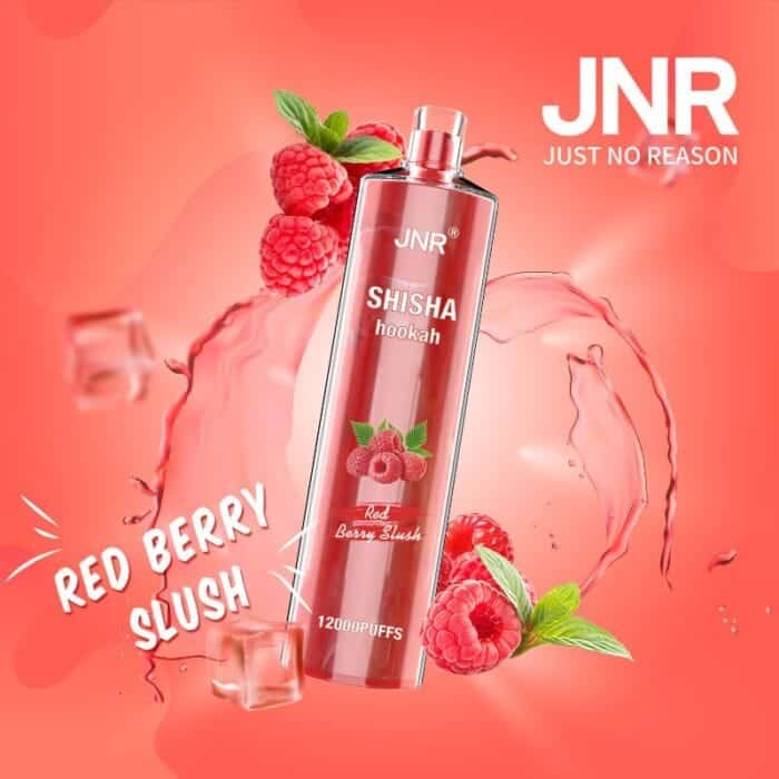 JNRUncover the Ultimate Jnr Shisha 12000 Puff Disposable Vape Guidejnr shisha puff disposable vape