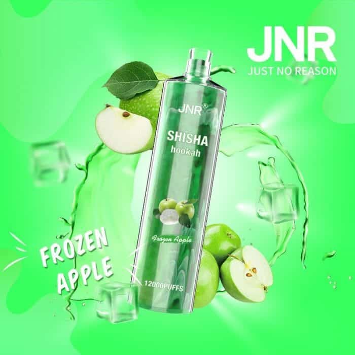 JNRUncover the Ultimate Jnr Shisha 12000 Puff Disposable Vape Guidejnr shisha puff disposable vape