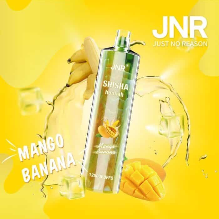 JNRUncover the Ultimate Jnr Shisha 12000 Puff Disposable Vape Guidejnr shisha puff disposable vape