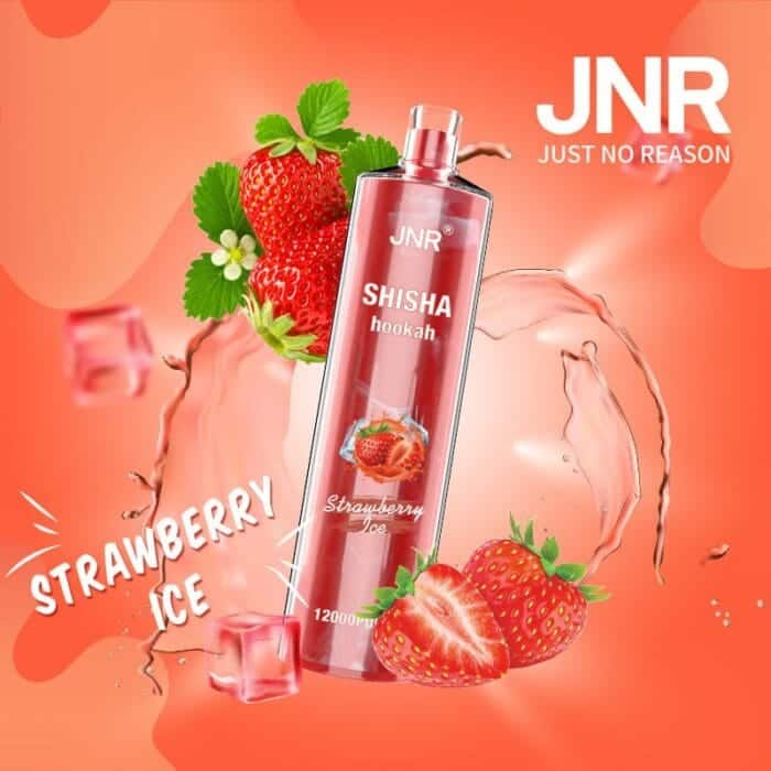 JNRUncover the Ultimate Jnr Shisha 12000 Puff Disposable Vape Guidejnr shisha puff disposable vape