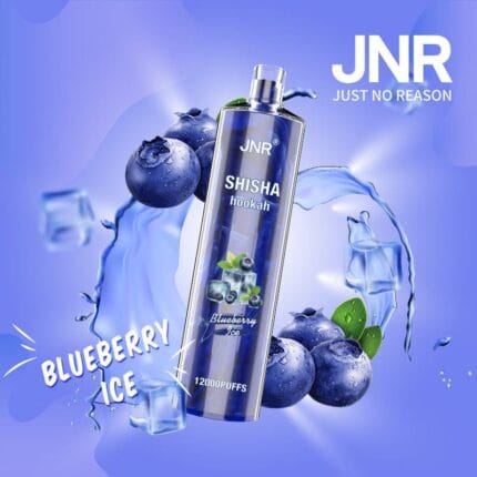 JNRUncover the Ultimate Jnr Shisha 12000 Puff Disposable Vape Guidejnr shisha puff disposable vape