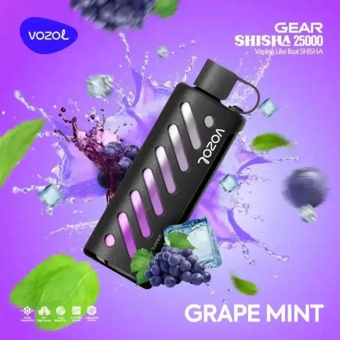 Vozol Gear Shisha 25K 25000 Puff Review 2024: World's First Audio-Interactive DTL Disposable Vapeimgi 2 image